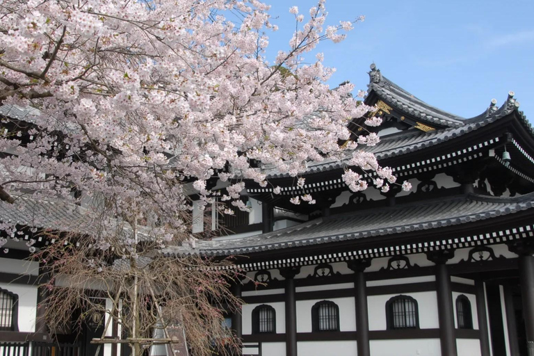 Tokyo: Kamakura One-Day Private Customizable Tour Tokyo: Kamakura One Day Private Customizable Tour