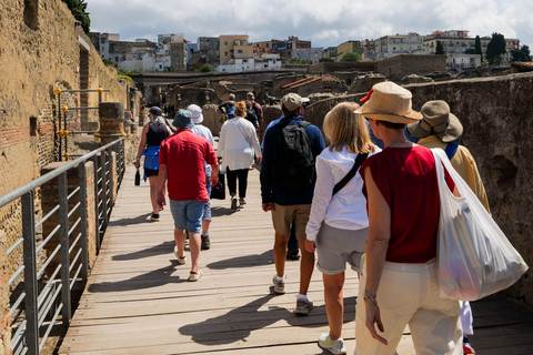 Discover Herculaneum: Guided tour in English of the ancient Roman city Guided tour in English with return train ticket from Naples