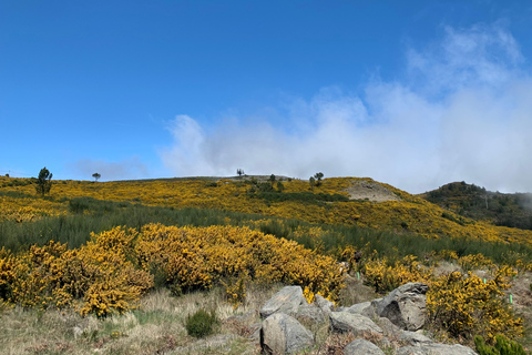 Excursión Este: Excursión clásica en jeep al Este de Madeira - Santana