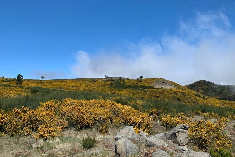 Excursión Este: Excursión clásica en jeep al Este de Madeira - Santana