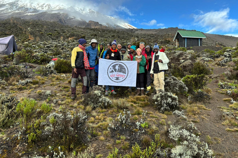 Mount Kilimanjaro: Lemosho Route 7-Day Trek