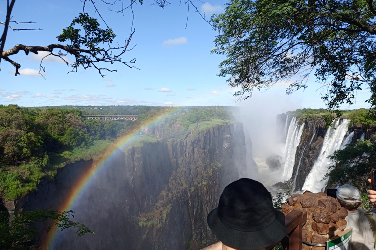 Victoria Falls: Devil’s Pool or Angel’s Pool Tour