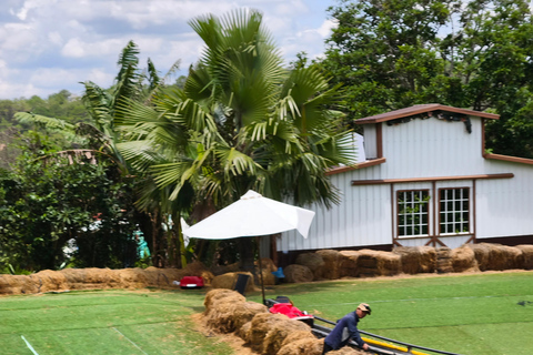 Dalat: Mario Kart - Mongo Land - Countryside Small Group