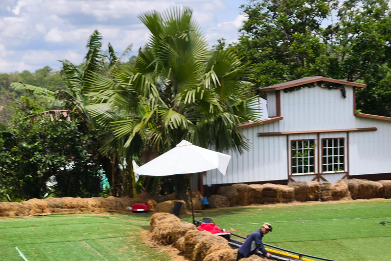 Dalat: Mario Kart - Mongo Land - Countryside Small Group