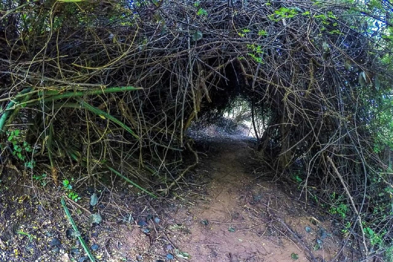 Nairobi: Namanga Hills Ol Donyo Orok Guided Hike Day Trip