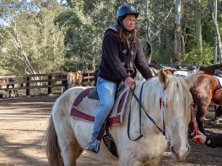 Horse Riding, Koalas & Kangaroos - Wild Australia | GetYourGuide