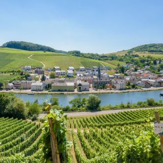 Luxembourg: Moselle Minibus Day Trip with Wine Tasting