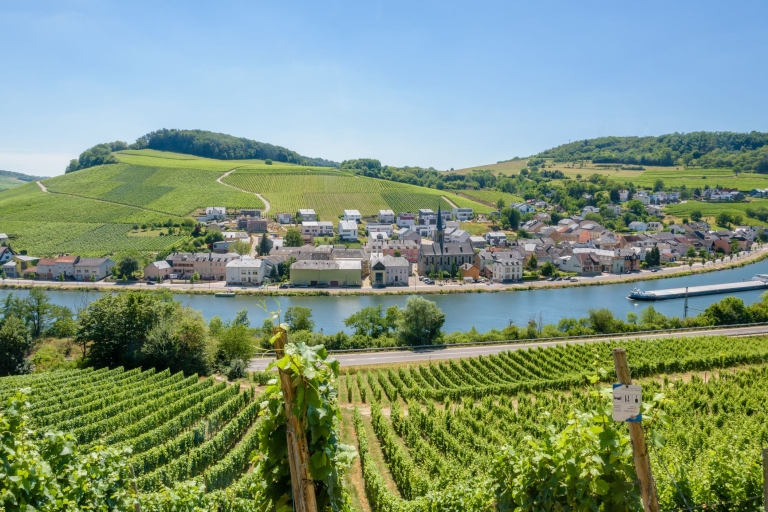 Luxembourg : Excursion d'une journée à la découverte de la Moselle avec dégustation de vinsVisite partagée d'une journée entière en minibus