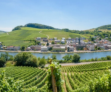Luxembourg: Moselle Day Trip with Wine Tasting and Boat Tour
