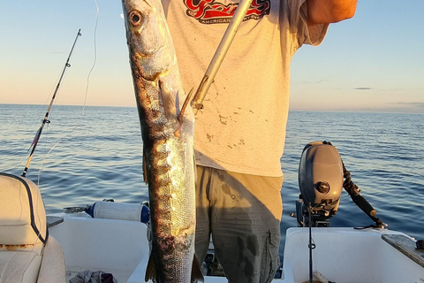 Terceira Island: Sport Fishing Terceira Island: Sport Fishing - 4 HOURS