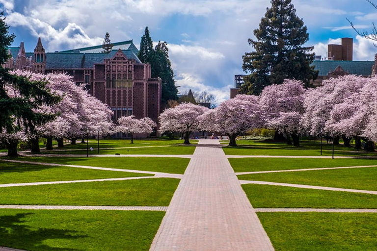 Seattle: Cherry Blossom Tour with Gardens & Pike Place