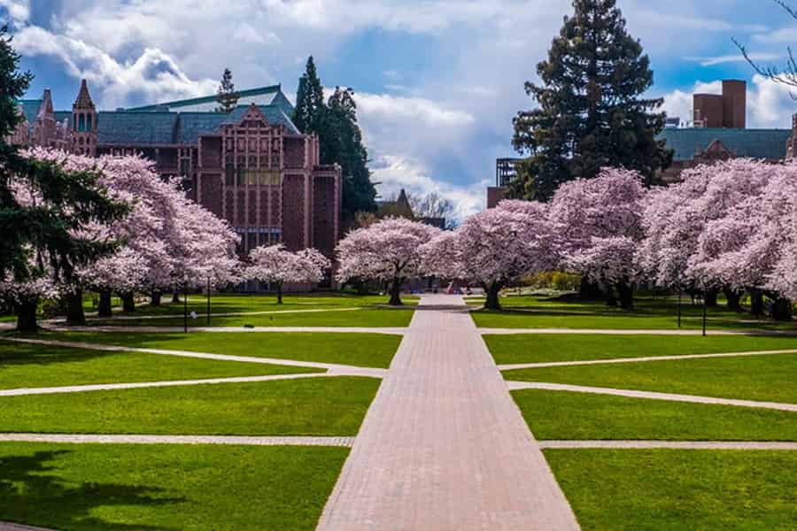 Seattle: Unsere Kirschblüten-Tour mit Gärten & Pike Place. Foto: GetYourGuide
