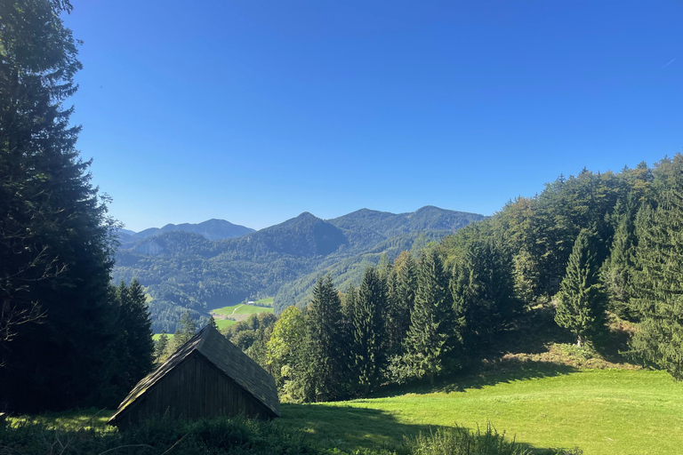 Hallstatt by bike: Scenic Lake Ride & Hallstatt Village