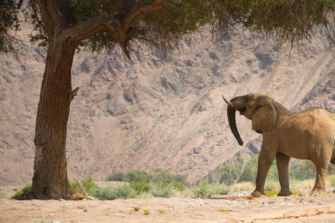 Namibia 14-dniowa wyprawa przygodowa