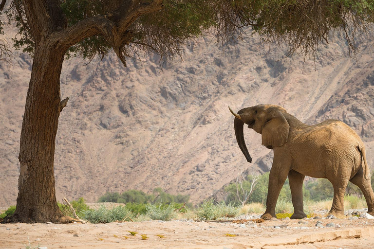 Namibia 14-dniowa wyprawa przygodowa