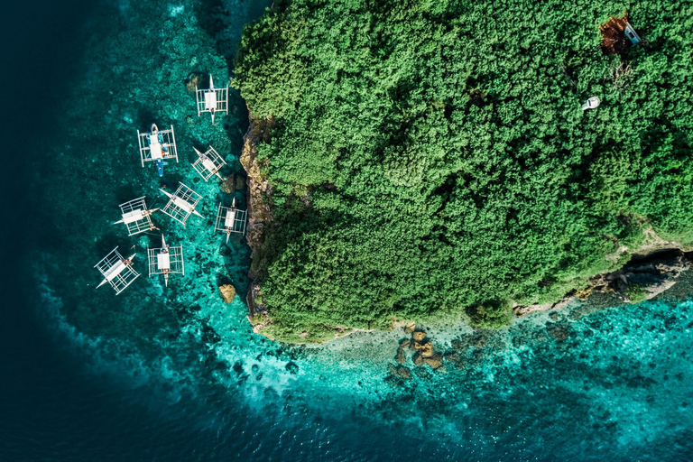 Cebu : Course de sardines et plongée en apnée avec les tortues - Moalboal