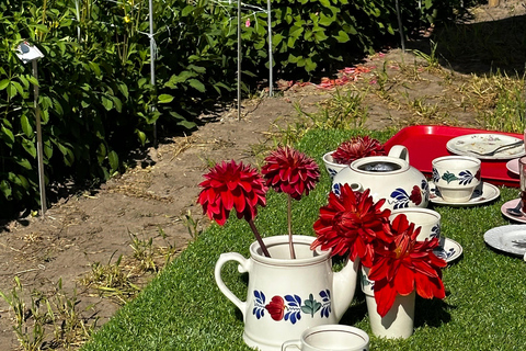 Région des bulbes : Tour cycliste des dahlias