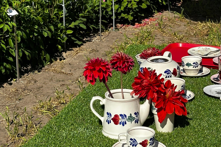 Région des bulbes : Tour cycliste des dahlias