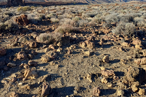 Tenerife: Masca, Teide National Park & Sunset - Small group