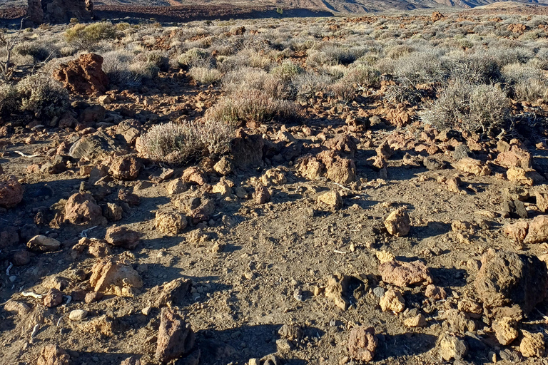 Tenerife: Masca, Teide National Park & Sunset - Small group