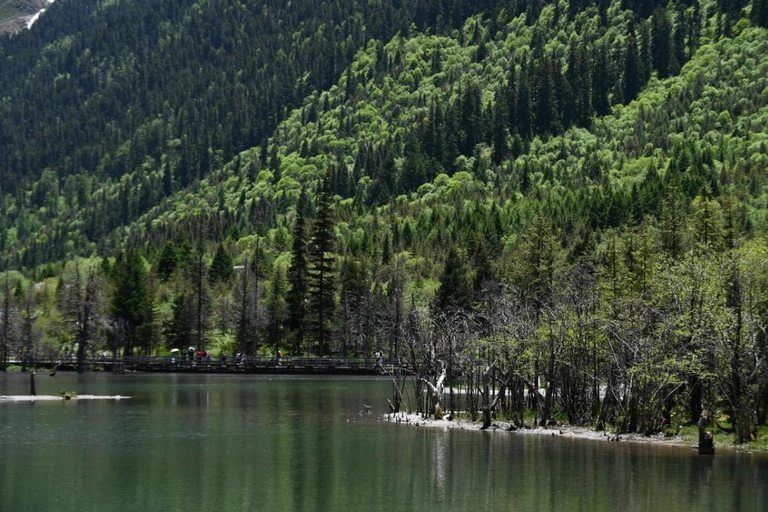 Sichuan: Mount Siguniang Scenic Area Ticket Changping Valley Ticket