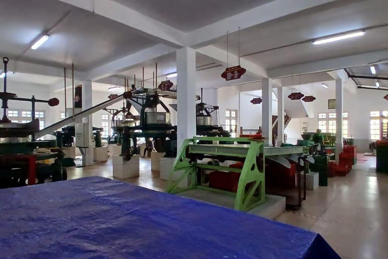 From Colombo/Negombo: Kandy ,Pinnawala ,Tea Factory Day Tour