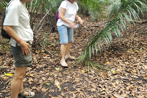 Jozani Forest, Reptile Park, Mtende Beach & ROCK Restaurant PRIVATE Tour no Transfer/Transport Included