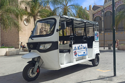 Valencia: Touren mit dem TukTukValencia: 1h Tour mit dem TukTuk