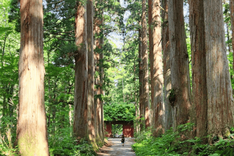 ناغانو: جولة خاصة في ضريح توجاكوشي، ساكي وزينكوجيالاستلام من مدينة ناغانو والمناطق المجاورة