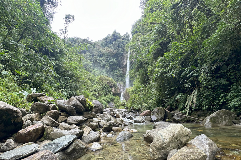 Quito to Baños: Full-Day Adventure with WaterfallsBasic Tour to Baños without Tickets