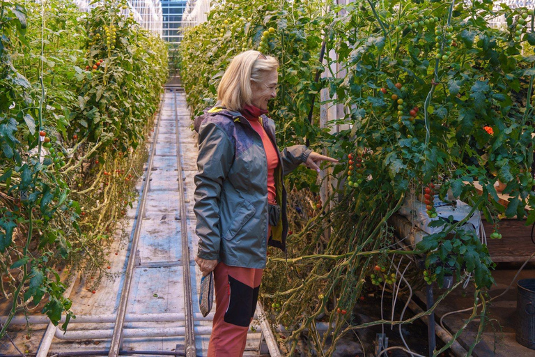 Reykjavik: 3 dias no Círculo Dourado, Costa Sul e Lagoa Azul