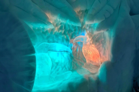 Rovaniemi: Santa Claus Village and Santa Park Day Trip Rovaniemi: Santa Claus Village & Santa Park group tour