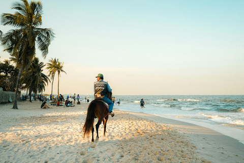 Barbados: Beach and Rainforest Horse Riding Combo 2-Hour Beach and Rainforest Horse Riding Combo