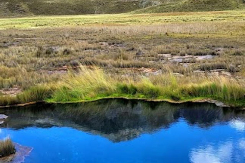 Huaraz : Journée complète Nevado Pastoruri + Eaux gazeuses