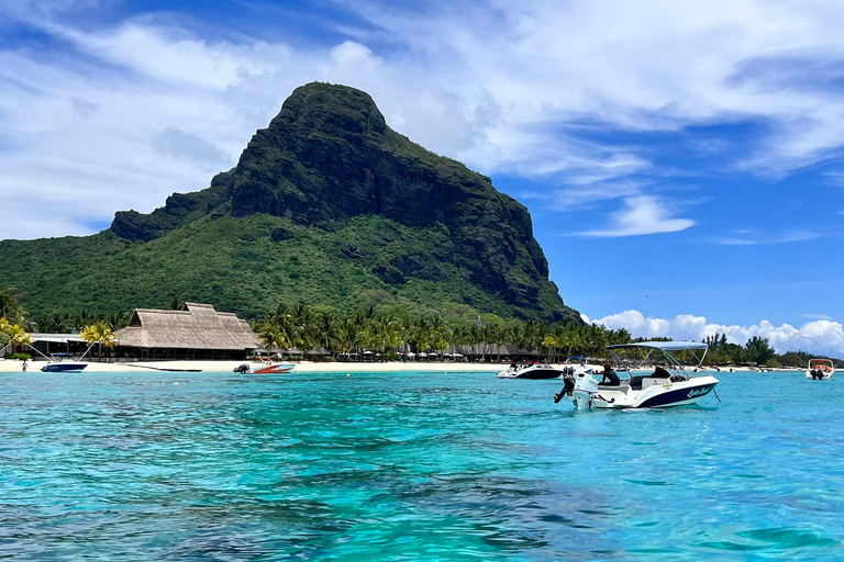 Amanecer con delfines, observación y nado, snorkel y Crystal Rock.Amanecer con delfines, observación y nado, snorkel y roca cristalina.