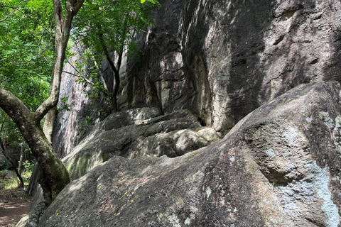 From Colombo: Gampaha District Temples & Jungle Hike Tour