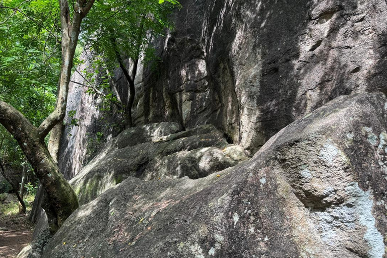 From Colombo: Gampaha District Temples & Jungle Hike Tour
