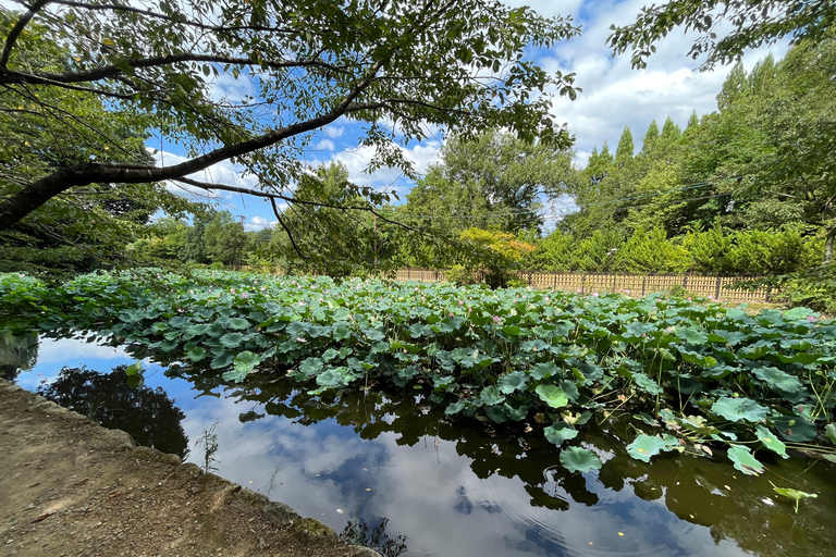 نارا وأراشيياما: جولة بالحافلة لمشاهدة الغزلان والخيزران والمعابدمن كيوتو