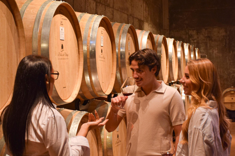 Valpantena: La Collina dei Ciliegi Wine Tasting Experience Collezione Terrena ENG