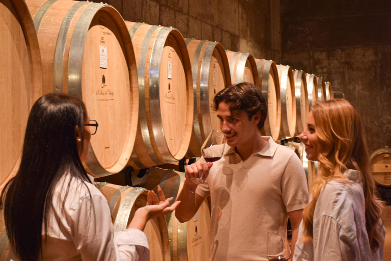 Valpantena: La Collina dei Ciliegi Wine Tasting Experience Collezione Terrena ENG