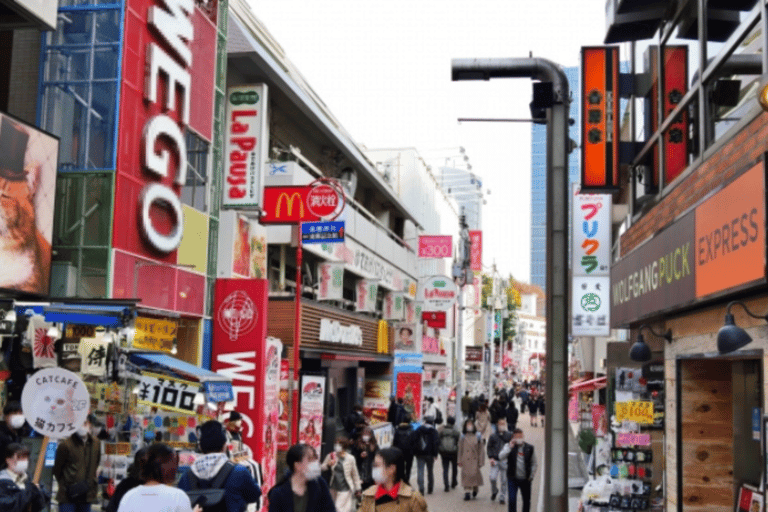 جولة طوكيو للثقافة الشعبية والتقاليد: من ضريح ميجي إلى هاراجوكو