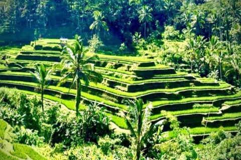 Bali: Persoonlijke ontwerpreizenTour A ( rondleiding Poorthemel )