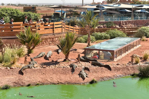 Agadir Crocoparc Entry Ticket with Botanical Gardens Access