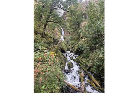 Portland: Columbia River Gorge Private Tour with Pickup