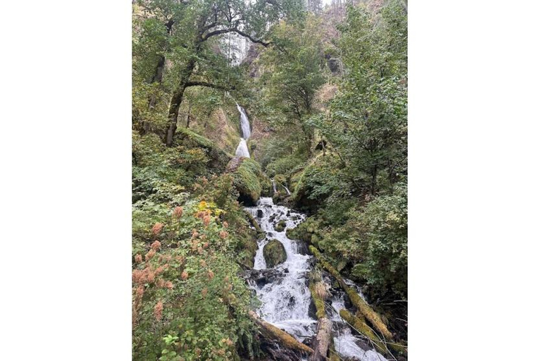 Portland: Columbia River Gorge Private Tour with Pickup