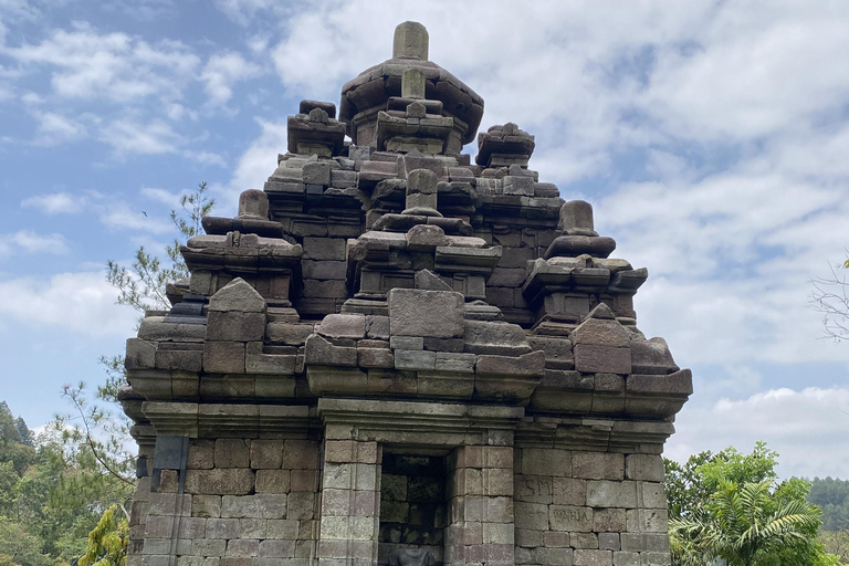 Tour particular aos terraços de arroz do Templo Selogriyo com almoço localDe Borobudur: Terraços de arroz Selogriyo e colheita de café