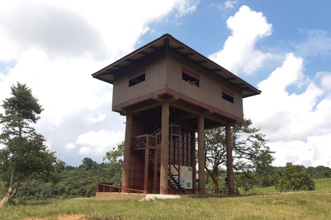 Bangkok: Khao Yai Vandringstur i liten grupp i Khao Yai nationalparkPrivat tur med upphämtning från hotell och avlämning