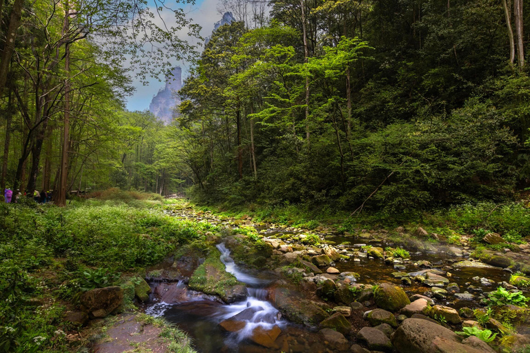 Zhangjiajie: Avatar Forest Park Group Tour or Ticket Big Group Tour with English Guide & Entry Ticket (11-16 ppl)