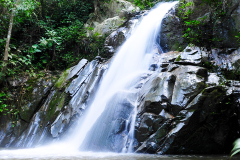 Chiang Mai : Visite de la cascade et des grottes de Sticky avec séjour dans une cabane dans les arbres