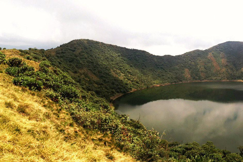 From Kigali: Bisoke Summit Trek, Crater Lake 1 Day Safari